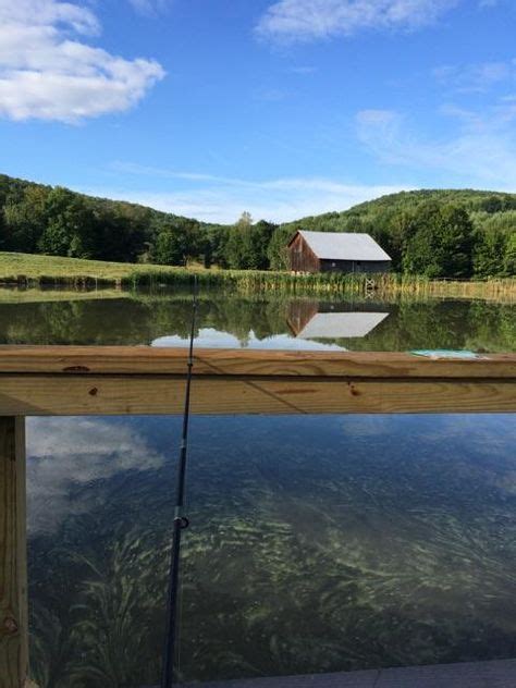 fishing ponds near me|Schaumburg Ponds .